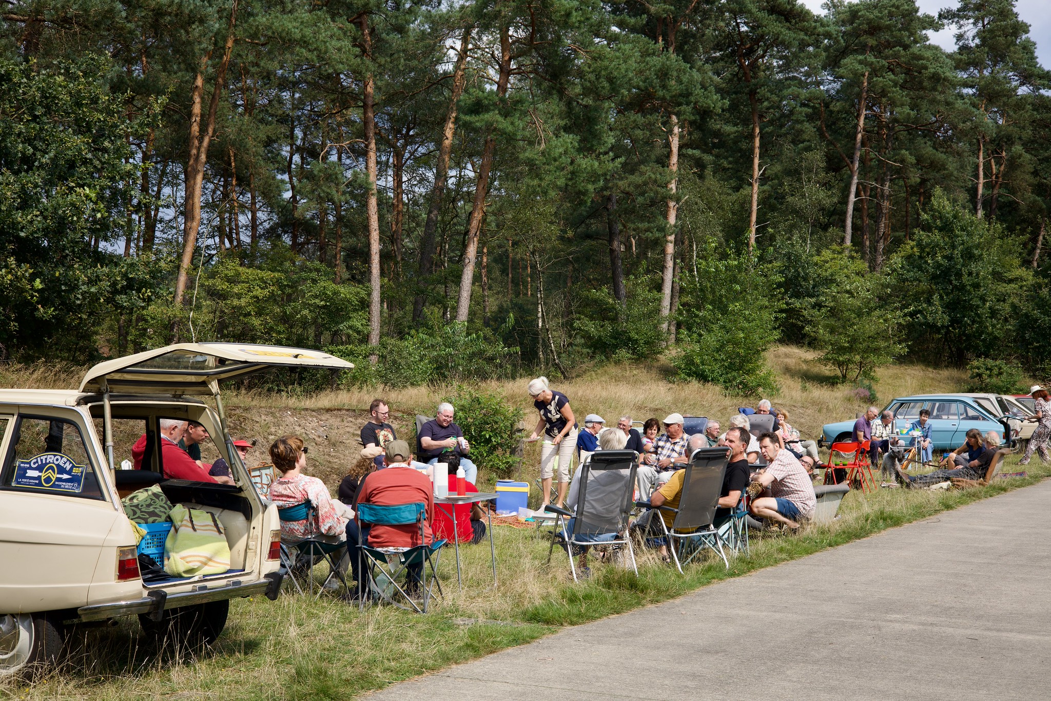 Picnicrit
